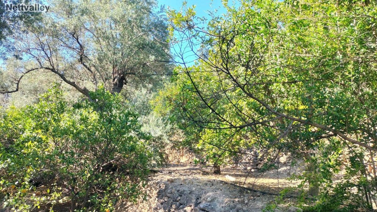 Finca/Landehus til salg i Pinos del Valle - € 42.000 (Ref: 8392603)