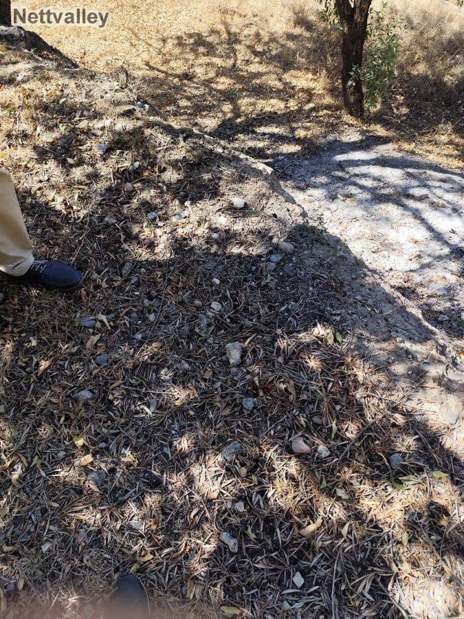 Finca/Casa di Campagna in vendita in Murchas - 24.500 € (Rif: 8542003)