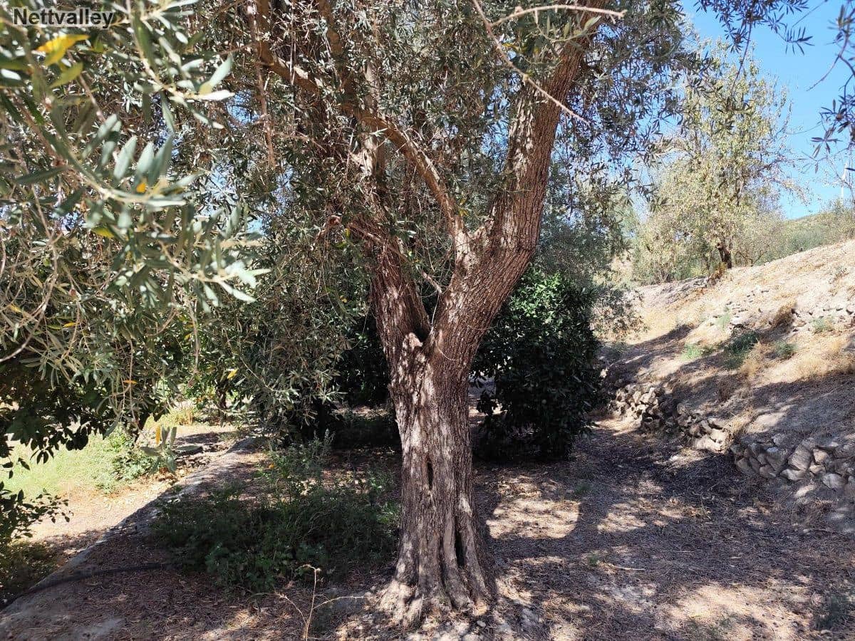 Finca/Casa di Campagna in vendita in Murchas - 24.500 € (Rif: 8542003)