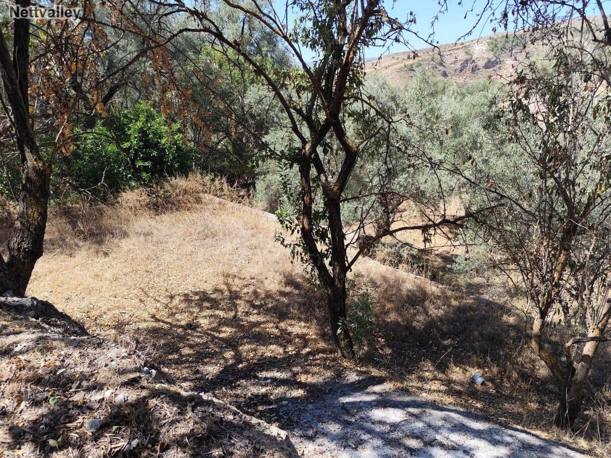 Finca/Casa di Campagna in vendita in Murchas - 24.500 € (Rif: 8542003)