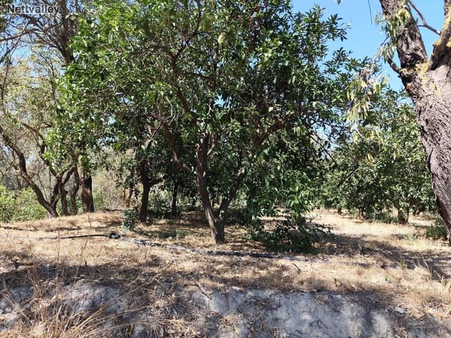 Finca/Casa di Campagna in vendita in Murchas, Lecrín - 24.500 € (Rif: 8542003)