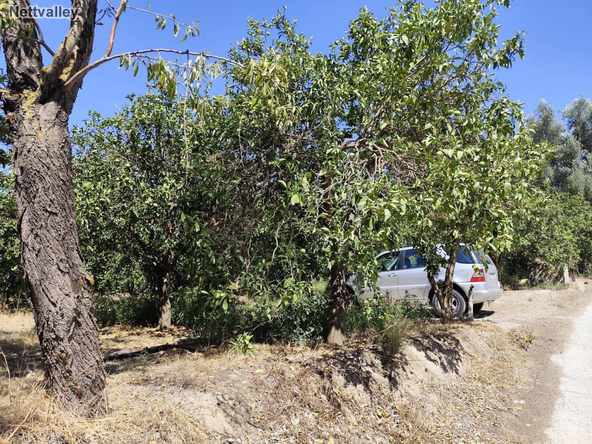 Finca/Casa di Campagna in vendita in Murchas - 24.500 € (Rif: 8542003)