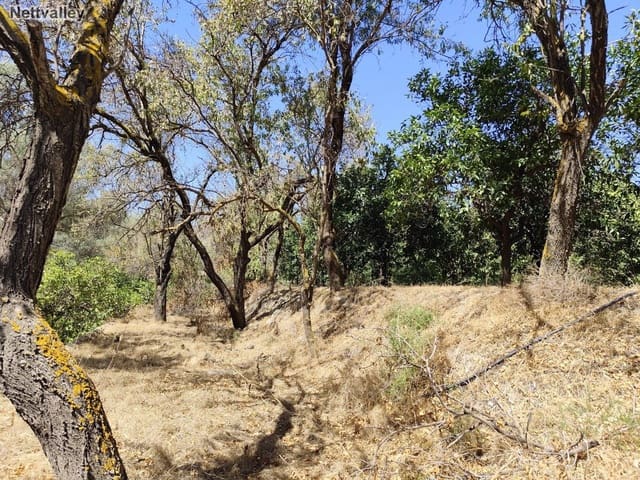 Finca/Casa di Campagna in vendita in Murchas, Lecrín - 24.500 € (Rif: 8542003)