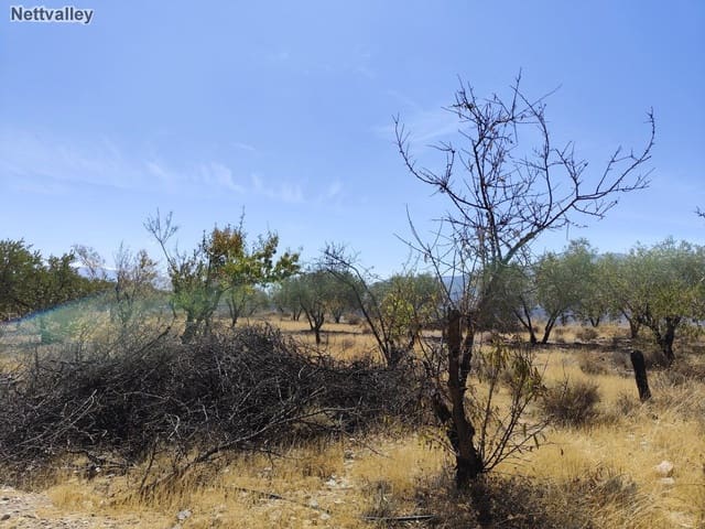 Finca/Casa di Campagna in vendita in Murchas, Lecrín - 50.000 € (Rif: 8542006)