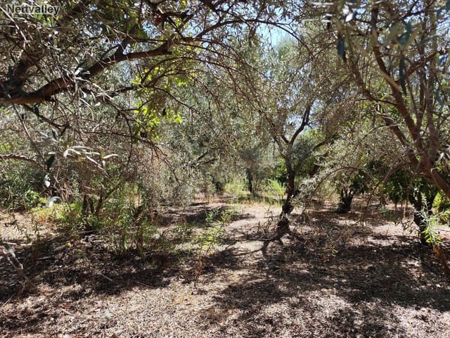 Finca/Casa di Campagna in vendita in Murchas, Lecrín - 50.000 € (Rif: 8542006)