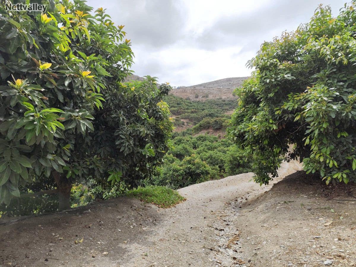 7 soveværelse Finca/Landehus til salg i Motril - € 600.000 (Ref: 8590531)