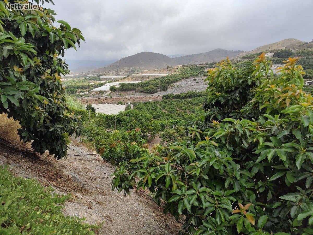 7 soveværelse Finca/Landehus til salg i Motril - € 600.000 (Ref: 8590531)