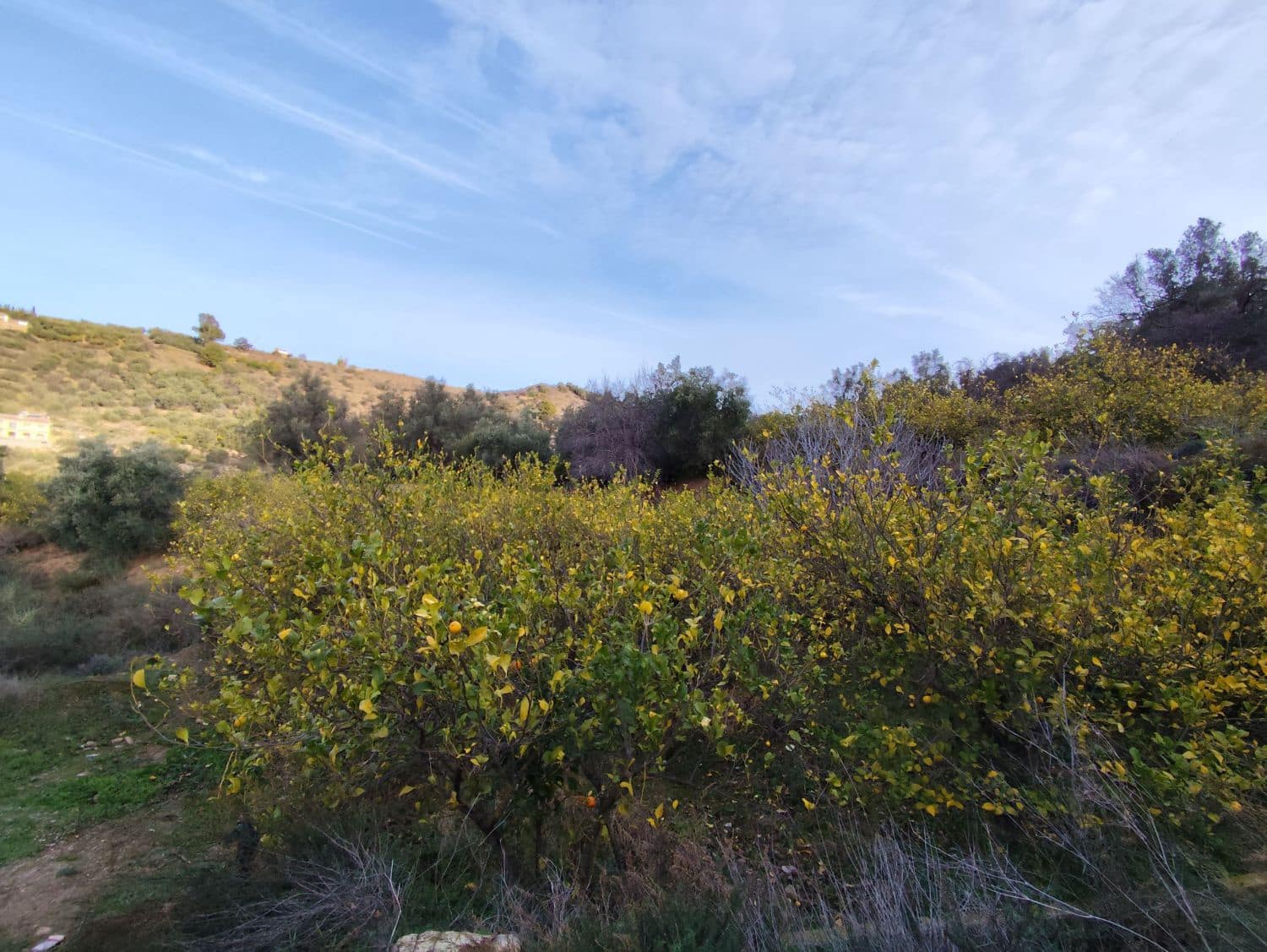 Finka/Dom wiejski na sprzedaż w Chite - 33 000 € (Ref: 8743234)