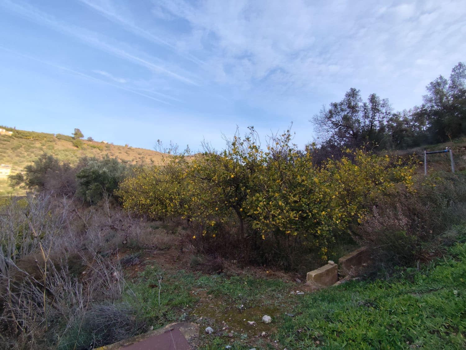 Finka/Dom wiejski na sprzedaż w Chite - 33 000 € (Ref: 8743234)