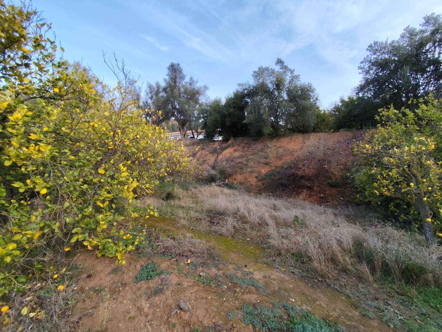 Finka/Dom wiejski na sprzedaż w Chite - 33 000 € (Ref: 8743234)