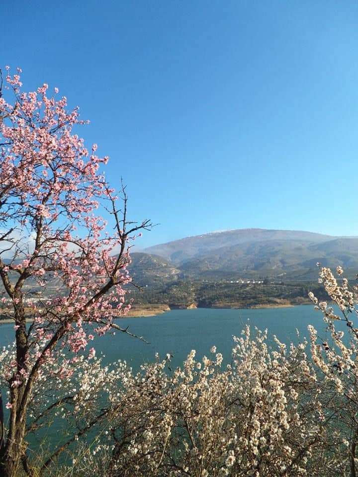 Finca/Maison de Campagne à vendre à Pinos del Valle - 38 000 € (Ref: 8764782)