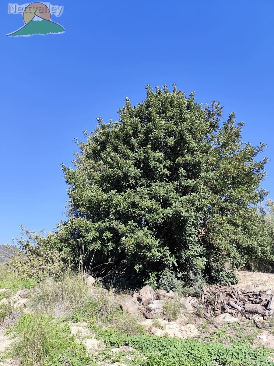 1 soveværelse Byhus til salg i Pinos del Valle - € 115.000 (Ref: 9013000)