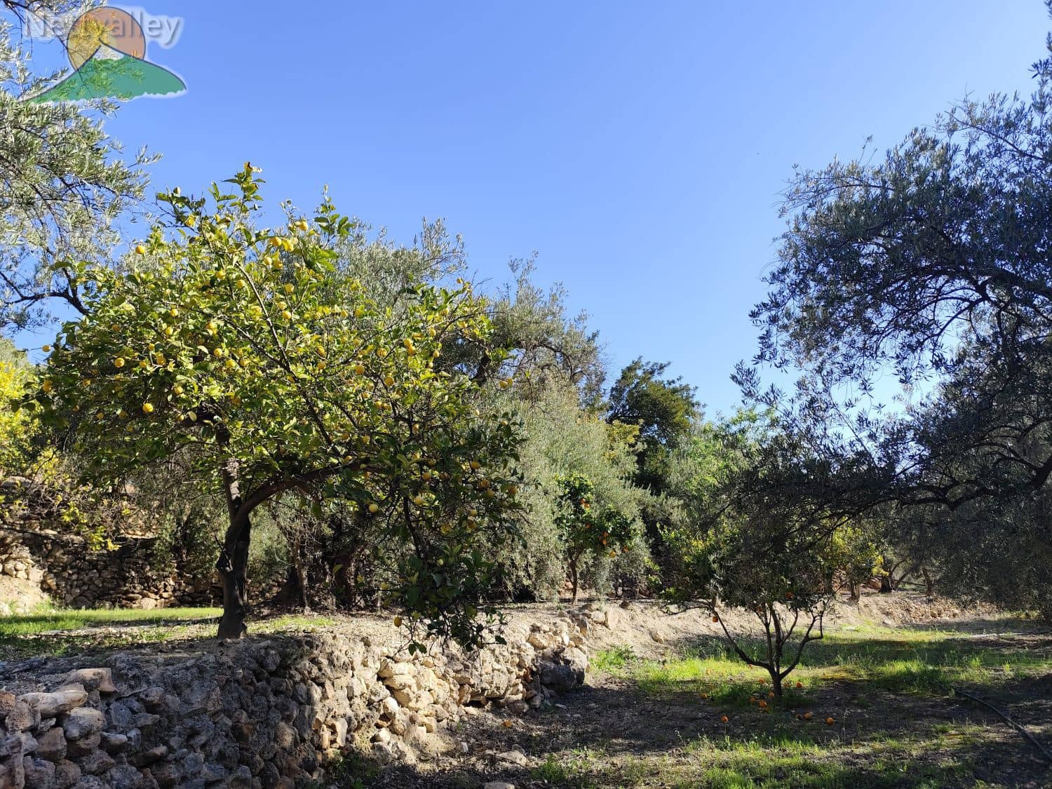 1 soveværelse Byhus til salg i Pinos del Valle - € 115.000 (Ref: 9013000)