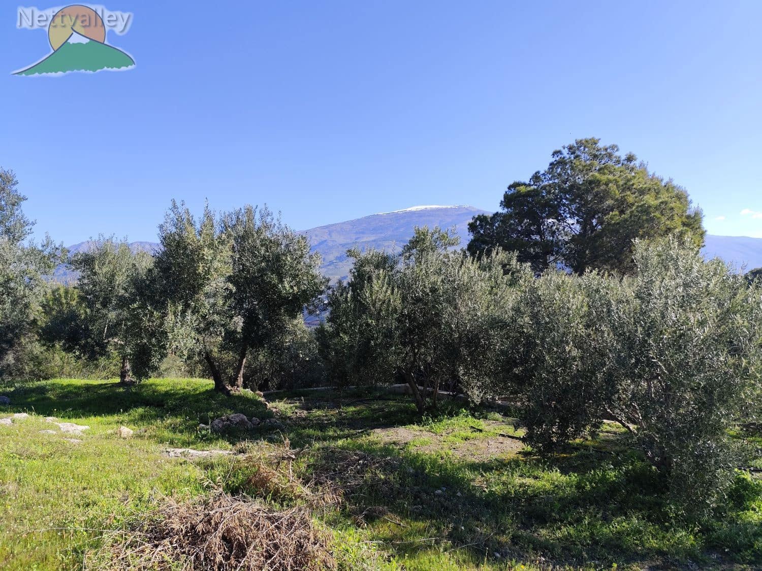 1 soveværelse Byhus til salg i Pinos del Valle - € 115.000 (Ref: 9013000)