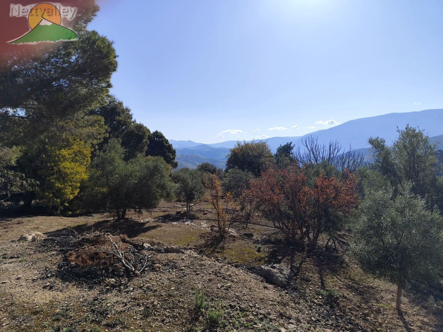 1 soveværelse Byhus til salg i Pinos del Valle - € 115.000 (Ref: 9013000)