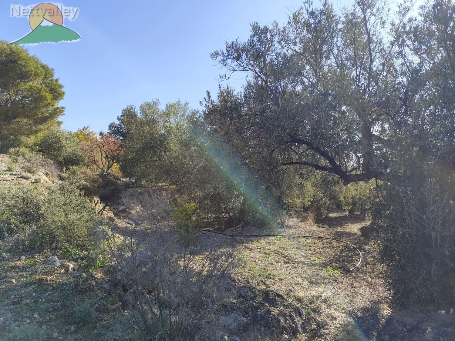 1 soveværelse Byhus til salg i Pinos del Valle - € 115.000 (Ref: 9013000)