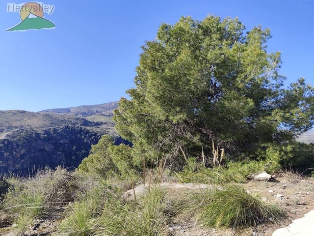 1 soveværelse Byhus til salg i Pinos del Valle, El Pinar - € 115.000 (Ref: 9013000)