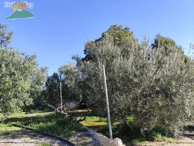 1 soveværelse Byhus til salg i Pinos del Valle, El Pinar - € 115.000 (Ref: 9013000)