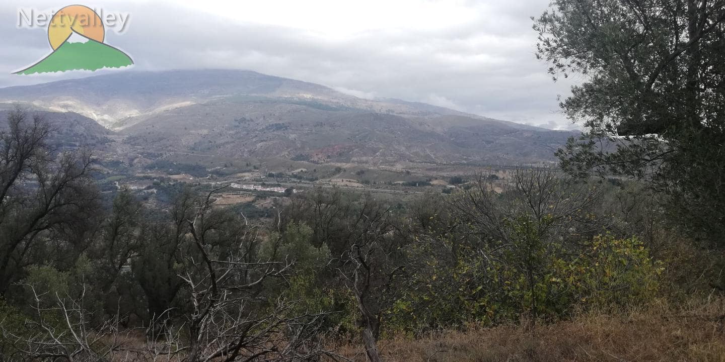 Finca/Landgut zu verkaufen in El Pinar - 78.500 € (Ref: 9125598)