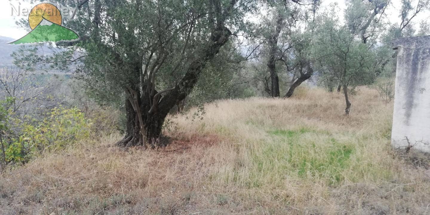 Finca/Landgut zu verkaufen in El Pinar - 78.500 € (Ref: 9125598)