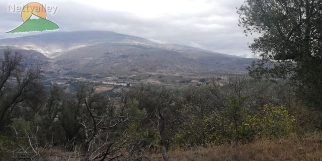 Finca/Landgut zu verkaufen in El Pinar - 78.500 € (Ref: 9125598)