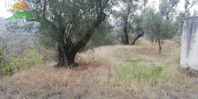 Finca/Landgut zu verkaufen in El Pinar - 78.500 € (Ref: 9125598)