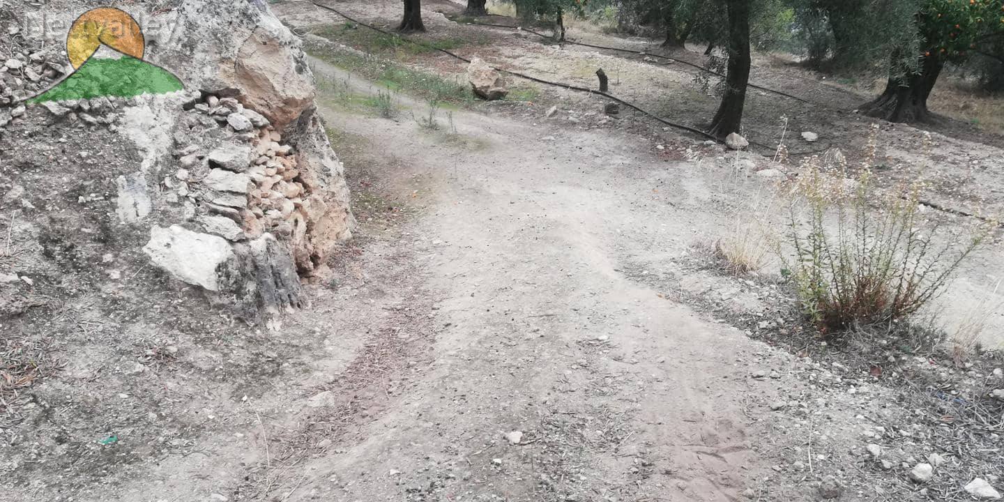 Finca/Landgut zu verkaufen in El Pinar - 78.500 € (Ref: 9125598)