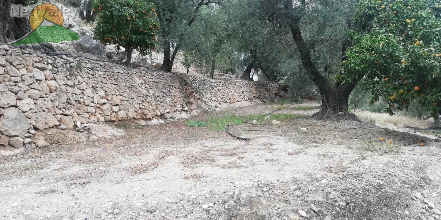 Finca/Landgut zu verkaufen in El Pinar - 78.500 € (Ref: 9125598)