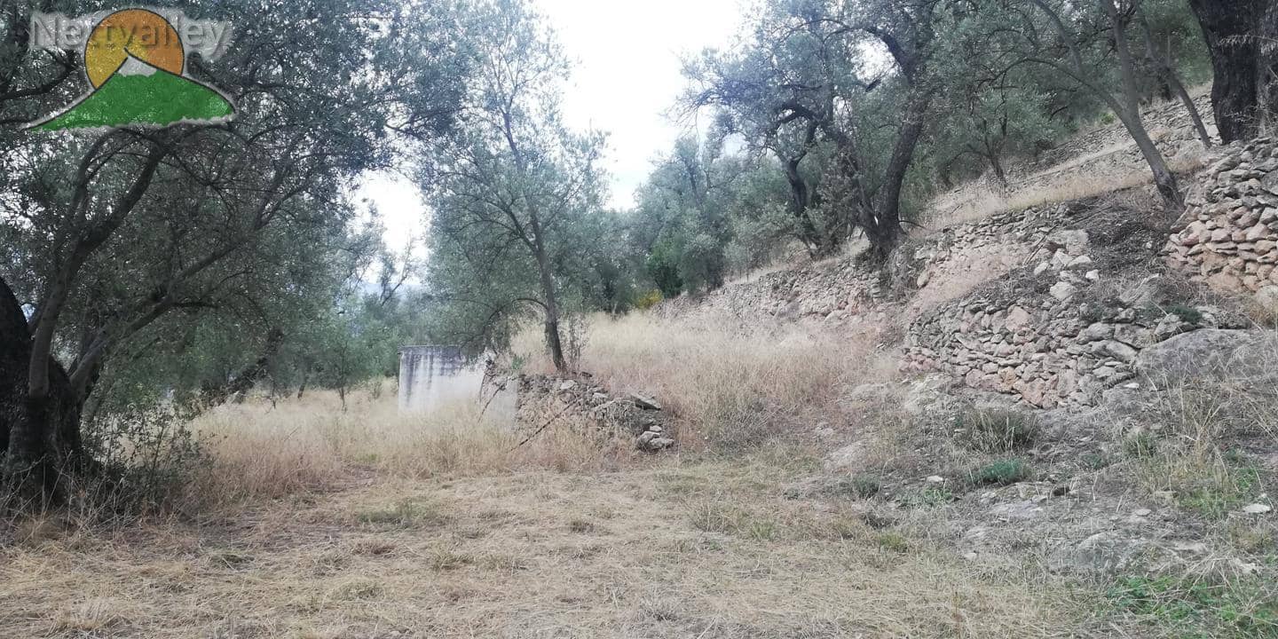 Finca/Landgut zu verkaufen in El Pinar - 78.500 € (Ref: 9125598)