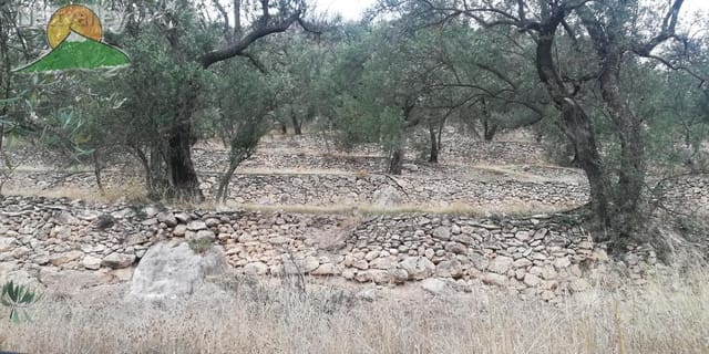 Finca/Landgut zu verkaufen in El Pinar - 78.500 € (Ref: 9125598)