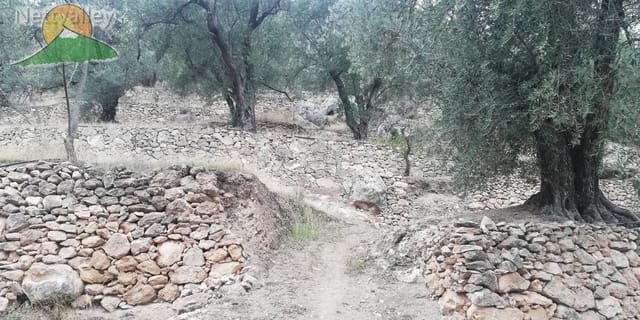 Finca/Landgut zu verkaufen in El Pinar - 78.500 € (Ref: 9125598)