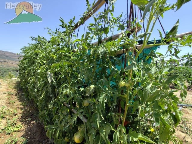 3 chambre Maison de Ville à vendre à Albuñuelas avec garage - 339 000 € (Ref: 9191371)