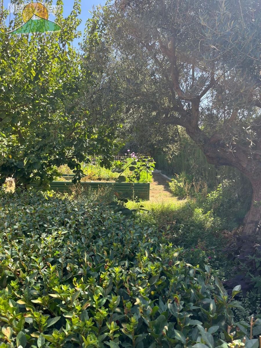 4 bedroom Townhouse for sale in Niguelas with garage - € 448,100 (Ref: 9282586)