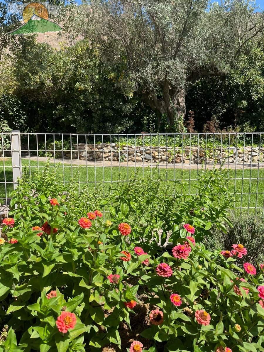 4 bedroom Townhouse for sale in Niguelas with garage - € 448,100 (Ref: 9282586)