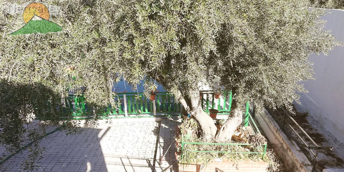 3 soverom Hus til salgs i Padul - € 99 800 (Ref: 9434565)