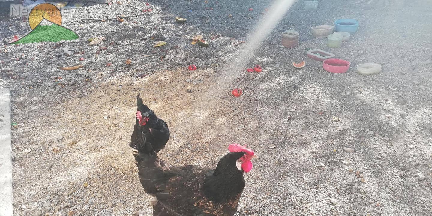 3 soverom Hus til salgs i Padul - € 99 800 (Ref: 9434565)