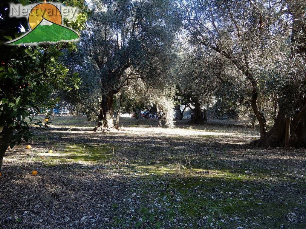 2 bedroom Townhouse for sale in Pinos del Valle - € 52,100 (Ref: 9765235)