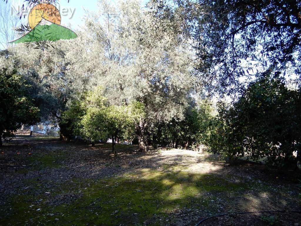 2 bedroom Townhouse for sale in Pinos del Valle - € 52,100 (Ref: 9765235)