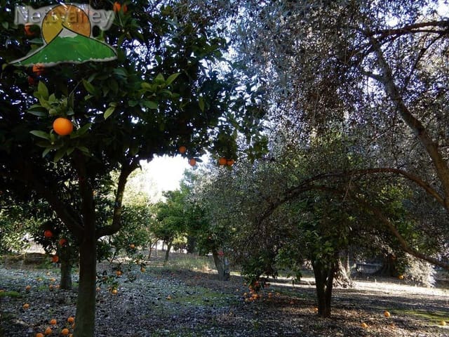 2 camera da letto Casa in vendita in Pinos del Valle, El Pinar - 52.100 € (Rif: 9765235)