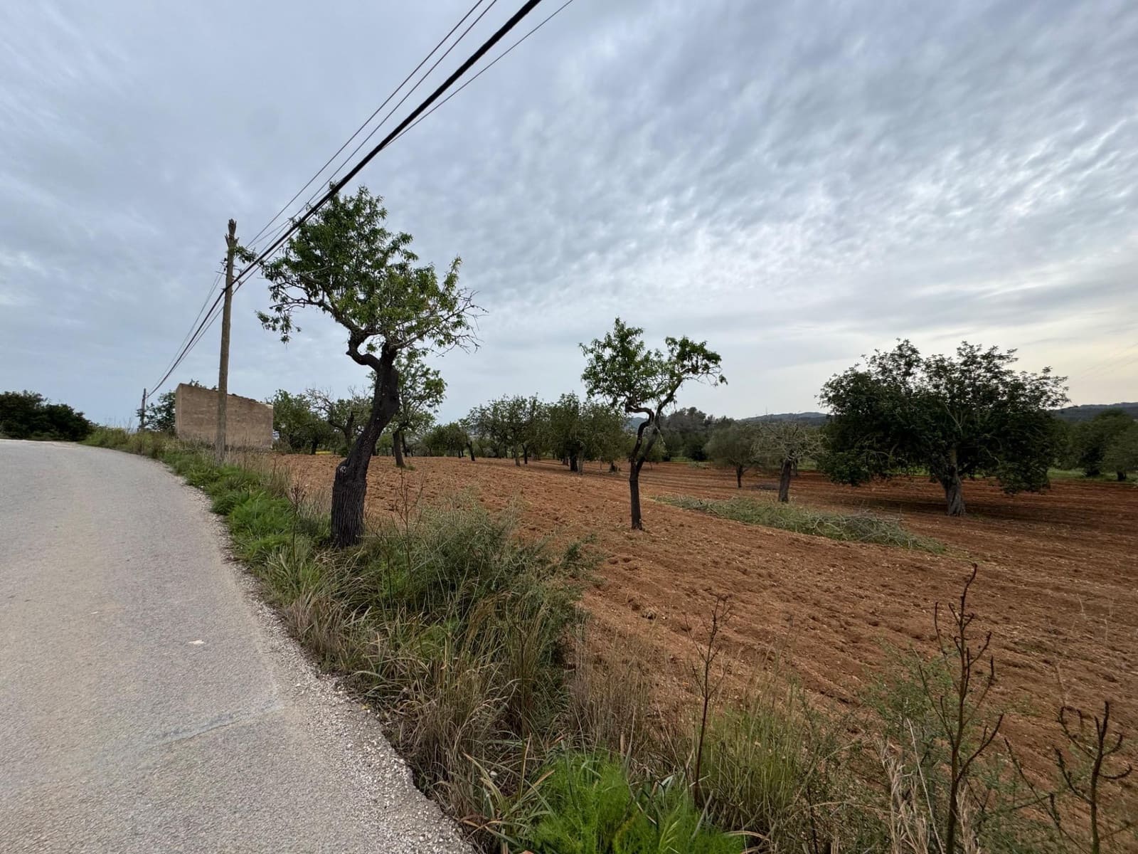 Grunde uden byggetilladelser til salg i Porreres - € 95.000 (Ref: 9060402)