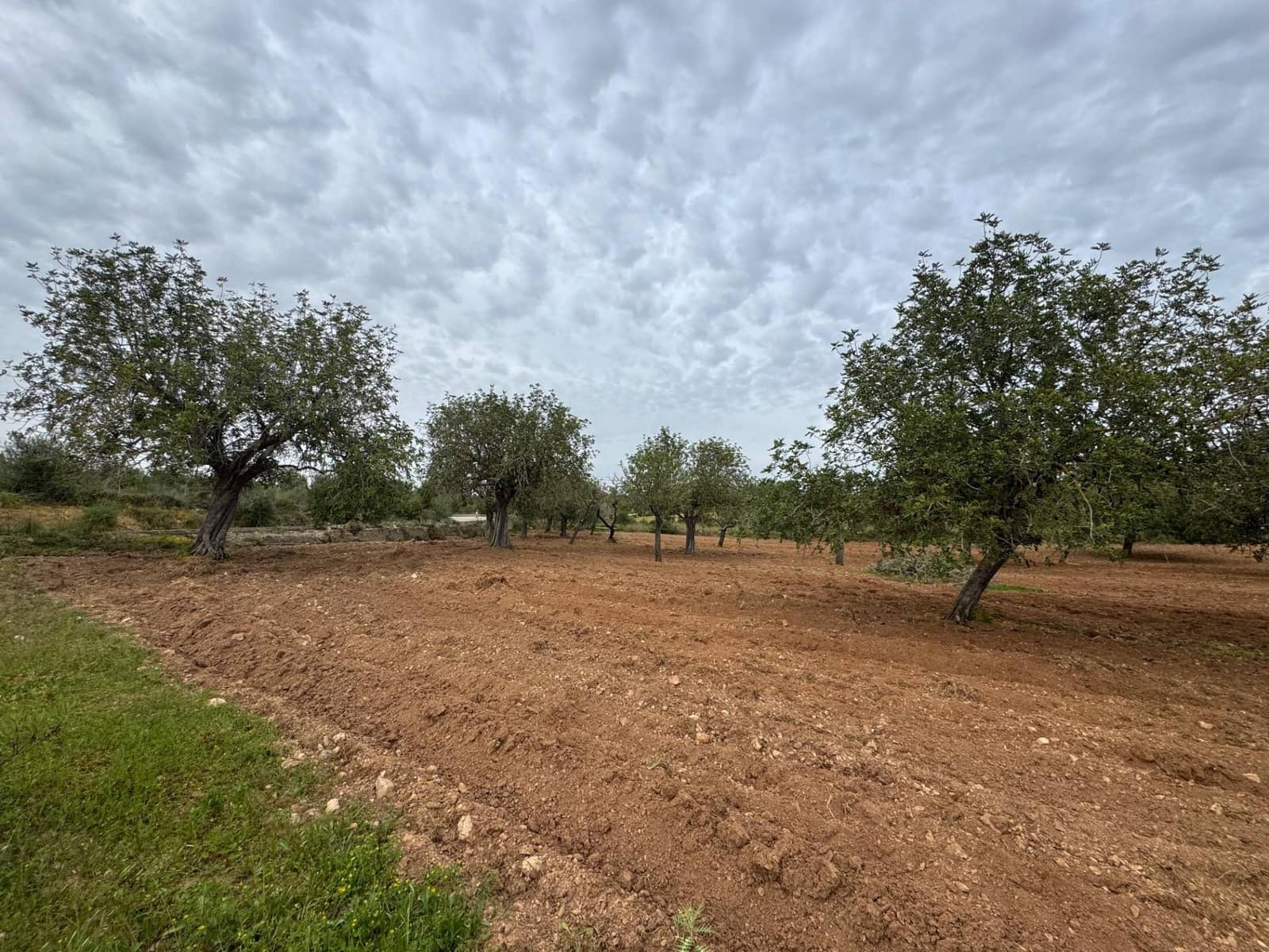 Grunde uden byggetilladelser til salg i Porreres - € 95.000 (Ref: 9060402)