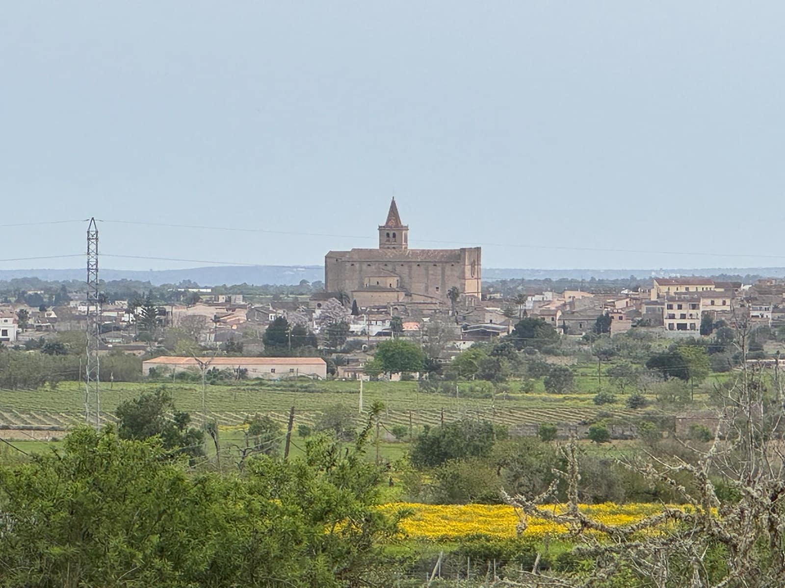 Grunde uden byggetilladelser til salg i Porreres - € 95.000 (Ref: 9060402)