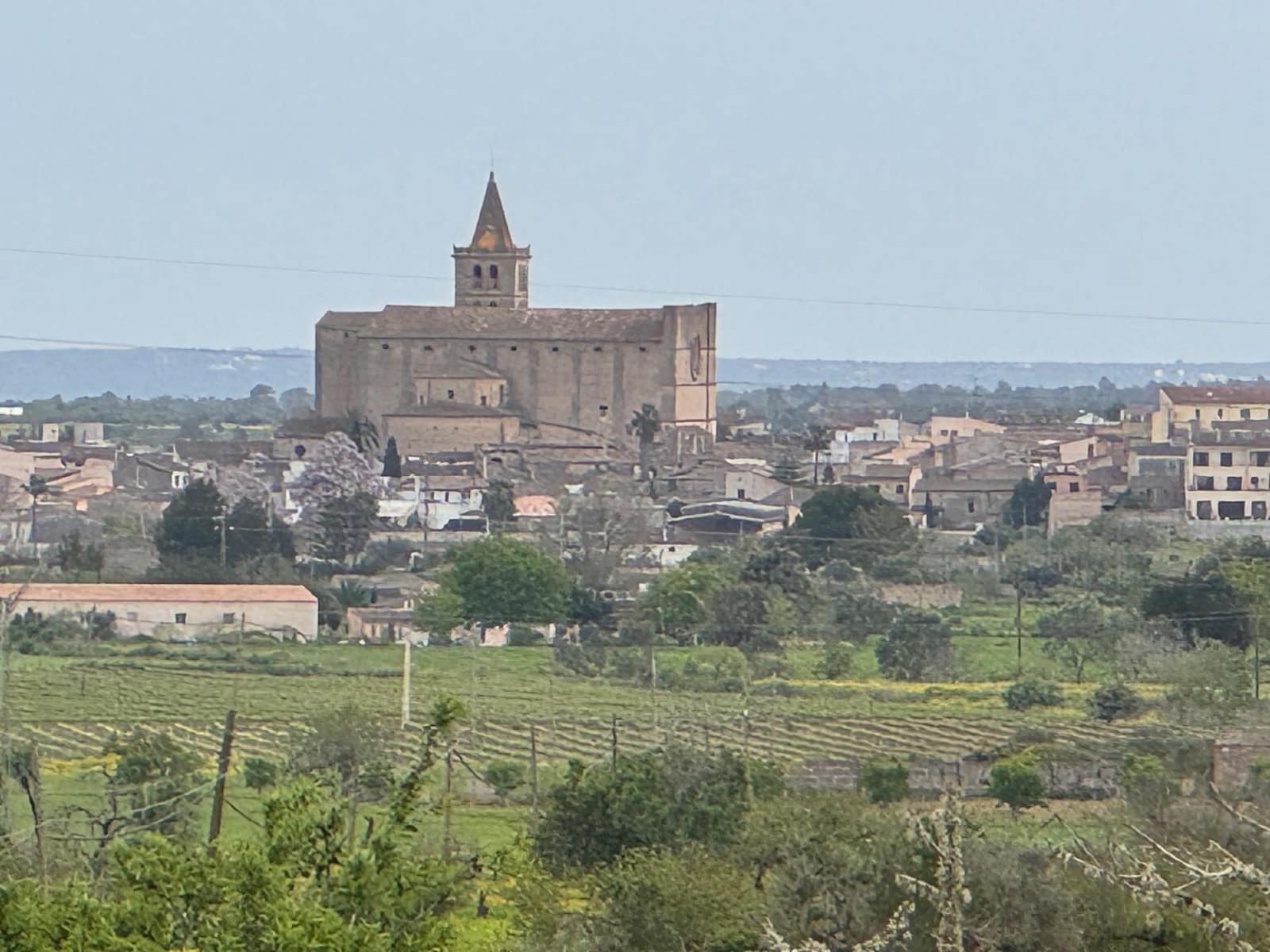 Grunde uden byggetilladelser til salg i Porreres - € 95.000 (Ref: 9060402)