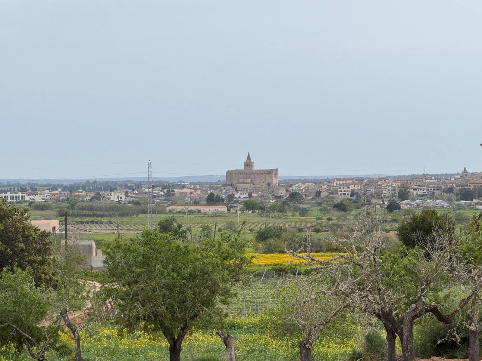 Grunde uden byggetilladelser til salg i Porreres - € 95.000 (Ref: 9060402)