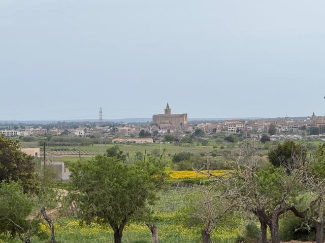 Mark till salu i Porreres - 95 000 € (Ref: 9060402)