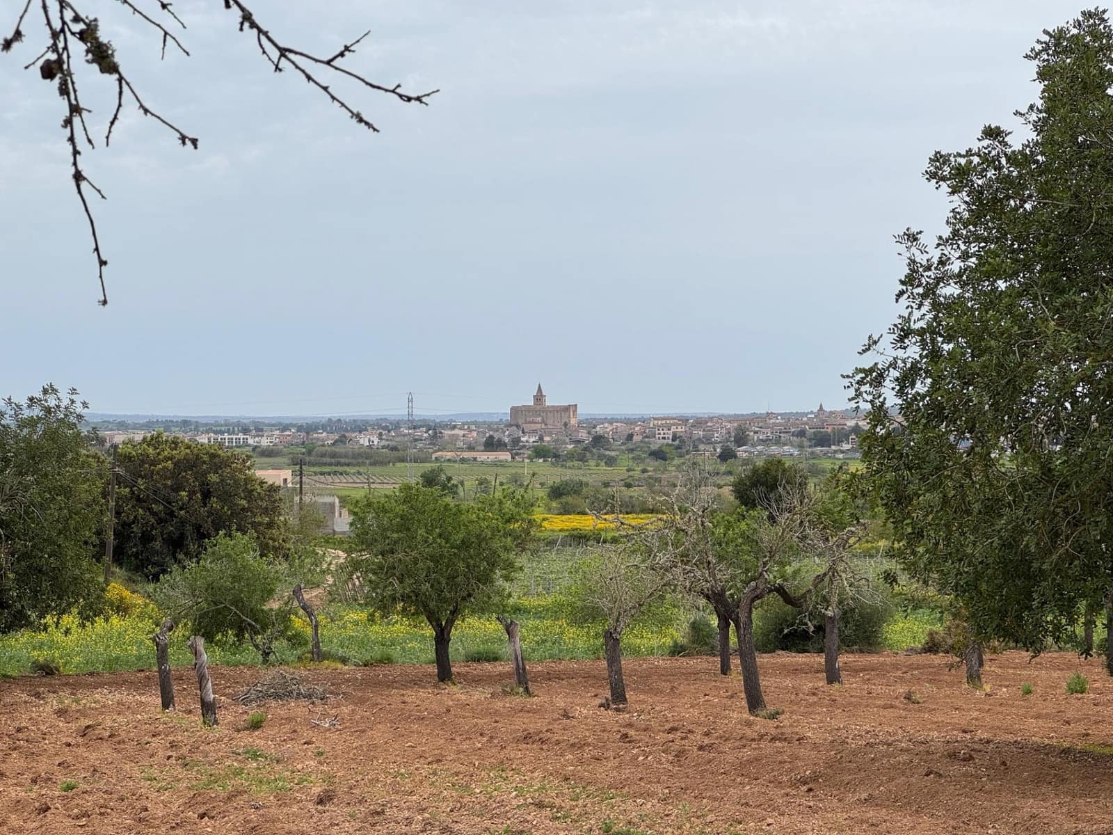 Grunde uden byggetilladelser til salg i Porreres - € 95.000 (Ref: 9060402)