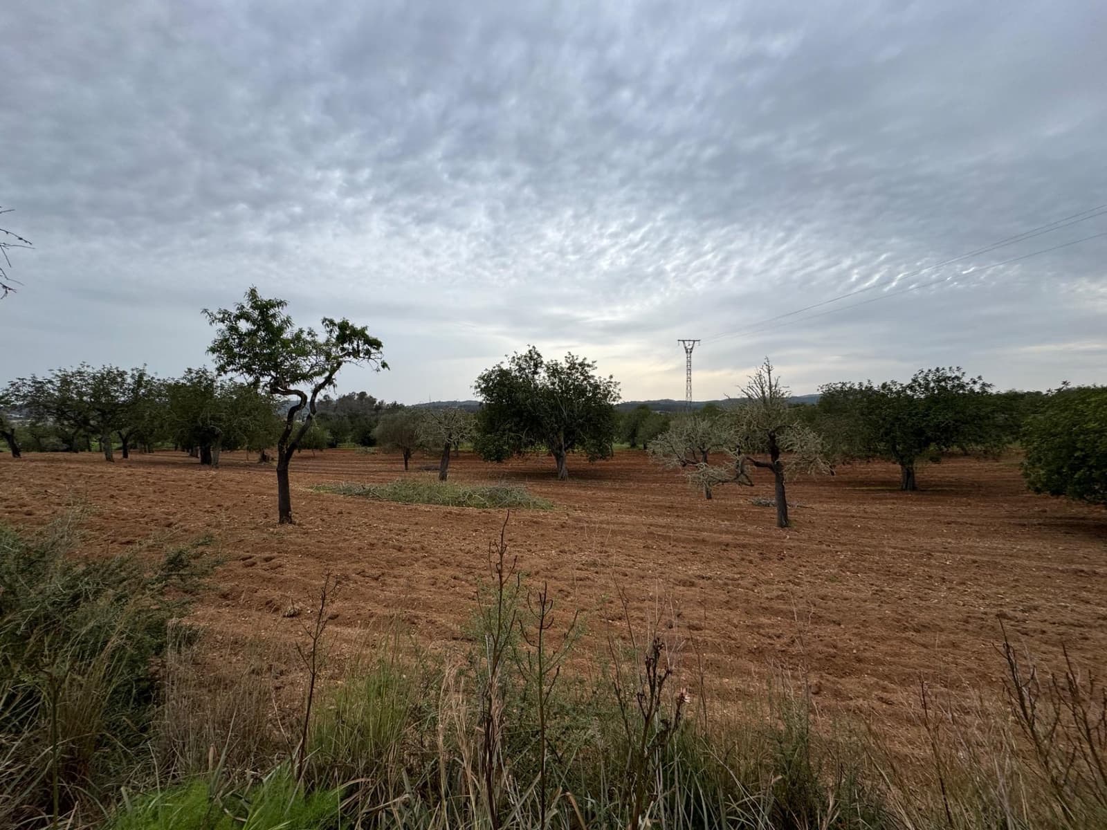 Grunde uden byggetilladelser til salg i Porreres - € 95.000 (Ref: 9060402)