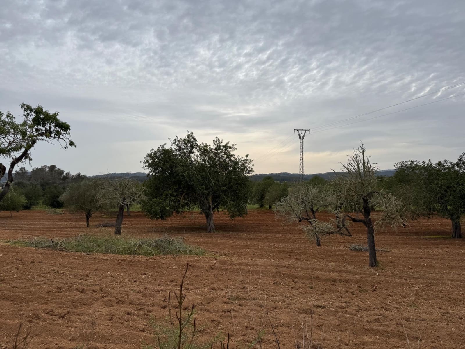 Grunde uden byggetilladelser til salg i Porreres - € 95.000 (Ref: 9060402)