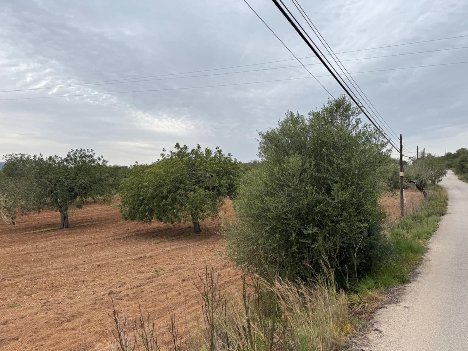 Grunde uden byggetilladelser til salg i Porreres - € 95.000 (Ref: 9060402)