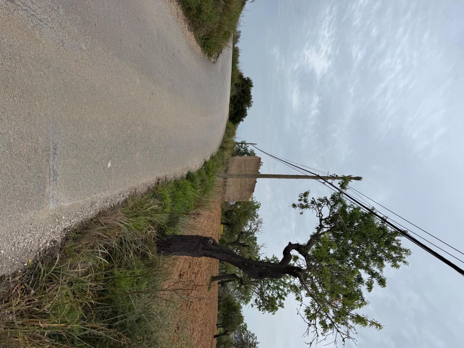 Grunde uden byggetilladelser til salg i Porreres - € 95.000 (Ref: 9060402)